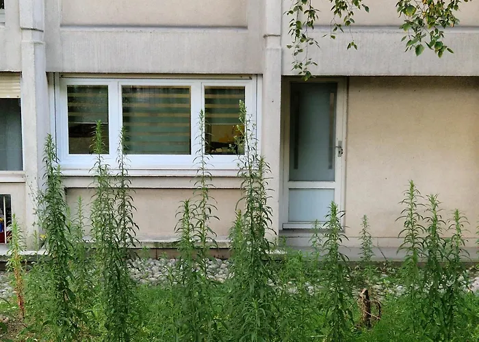 Comfortable Rooms For Working - Levallois