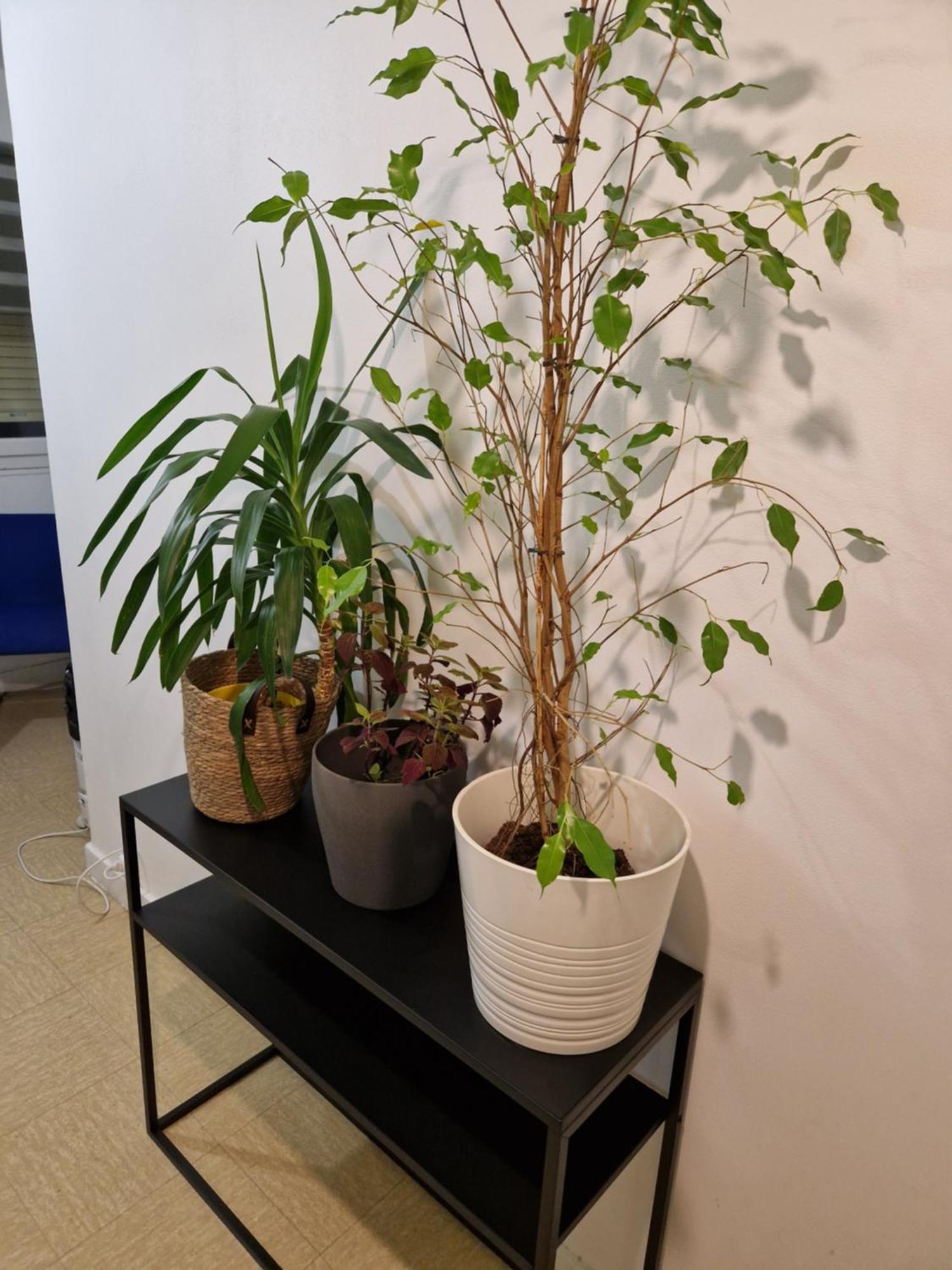 Comfortable For Working - Privatunterkunft Levallois-Perret